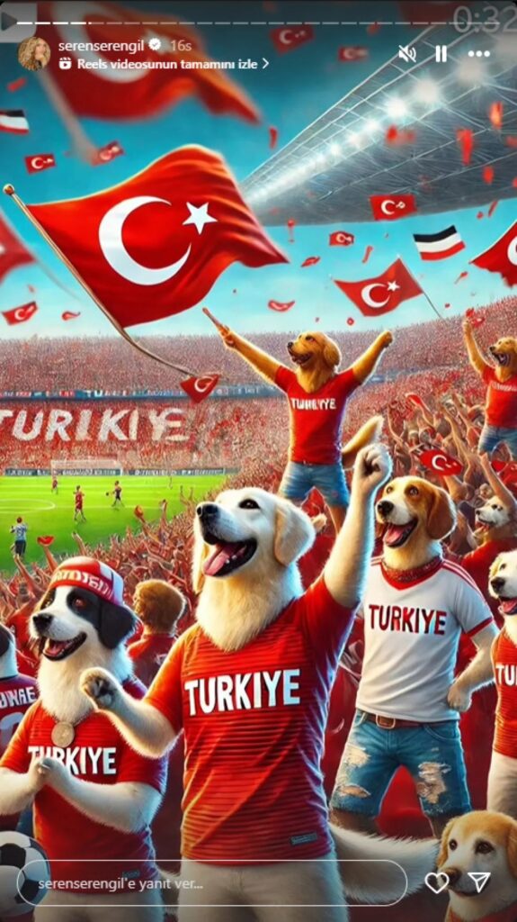 seren serengil paylaşım