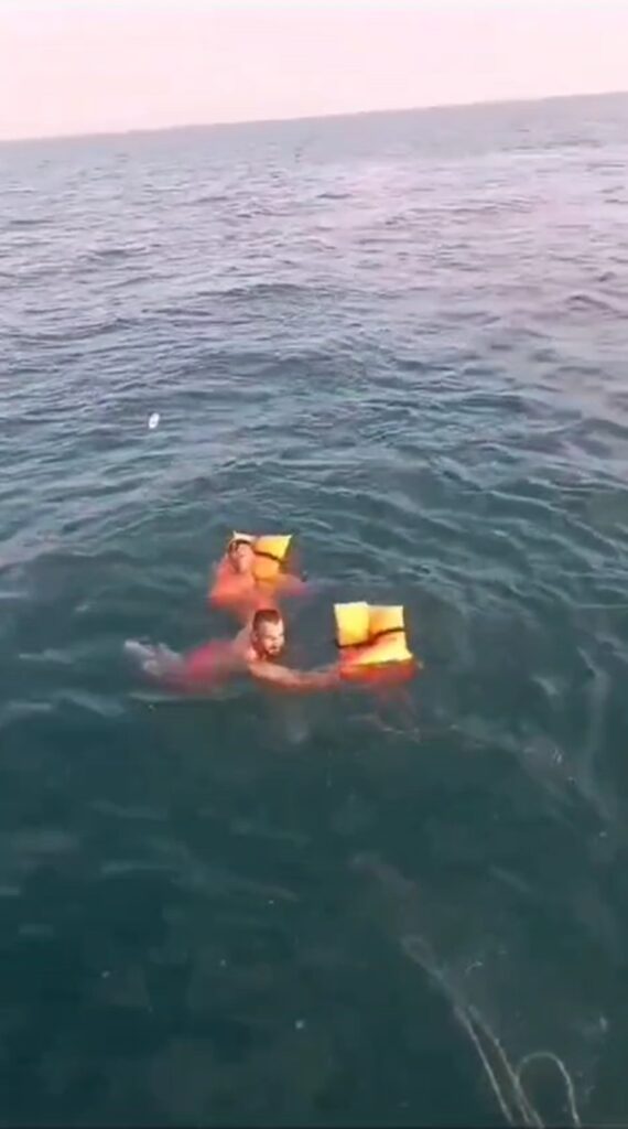 can pazarı