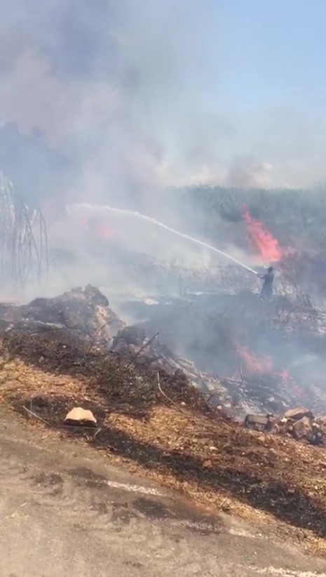 ALEVLERİN ARASINDA KALDI, YİNE DE GÖREVİNİ BIRAKMADI ANTALYA'DA SERA VE İKAMETLERE YAKIN OTLUK VE AĞAÇLIK ALANDA ÇIKAN YANGIN GÜÇLÜKLE KONTROL ALTINA ALINDI BÖLGEDE YAŞAYANLAR SOKAKLARDA KALAN MADDE BAĞIMLILARINDAN ŞİKAYET ETTİ