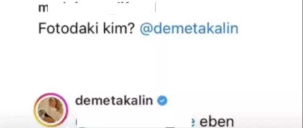 demet akalın